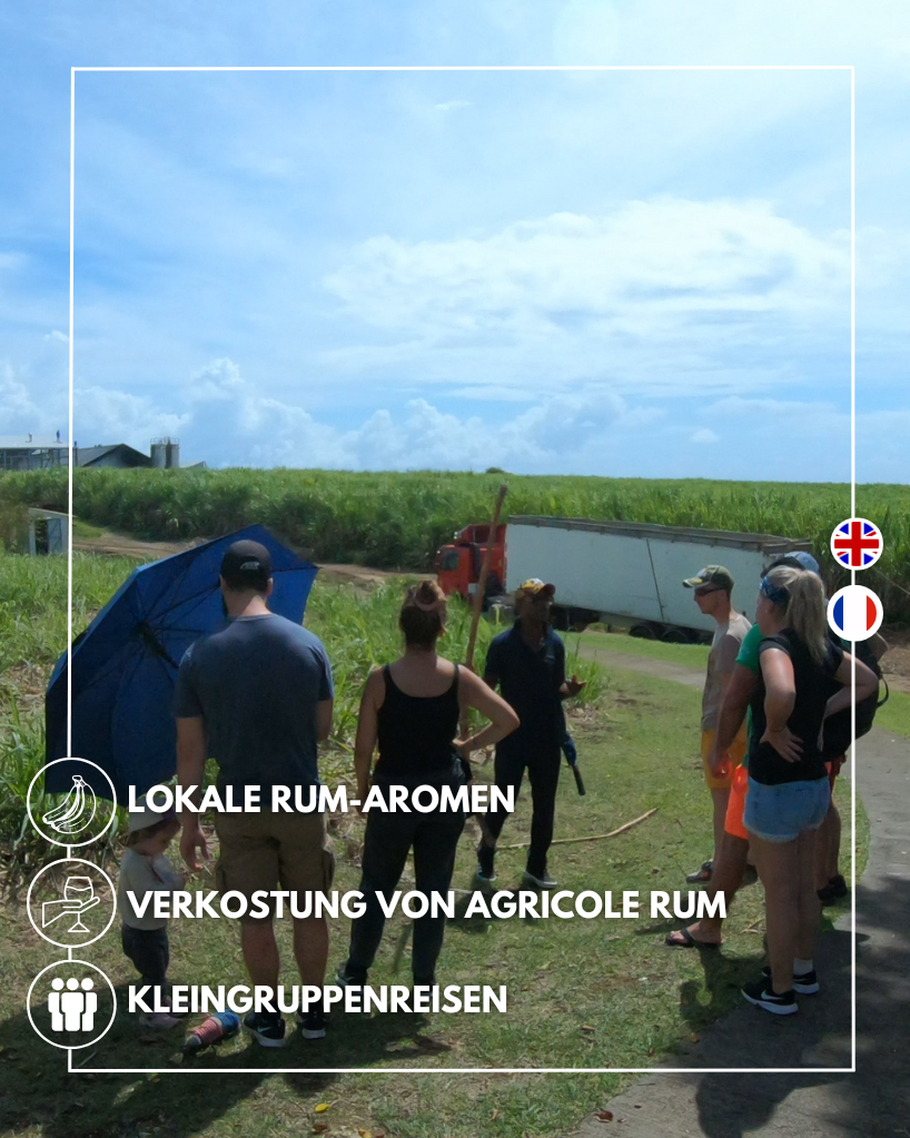 Rum-Destillerie-Tour mit Verkostung in Guadeloupe