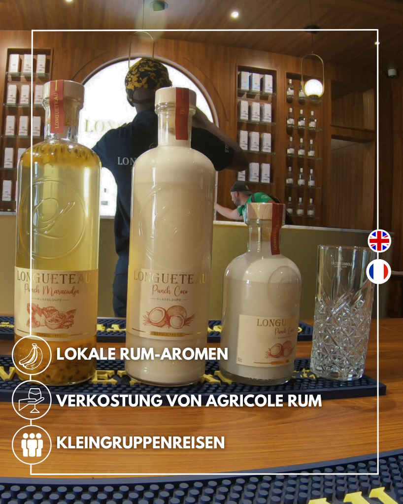 Guadeloupe Rum-Destillerie-Tour mit Verkostung