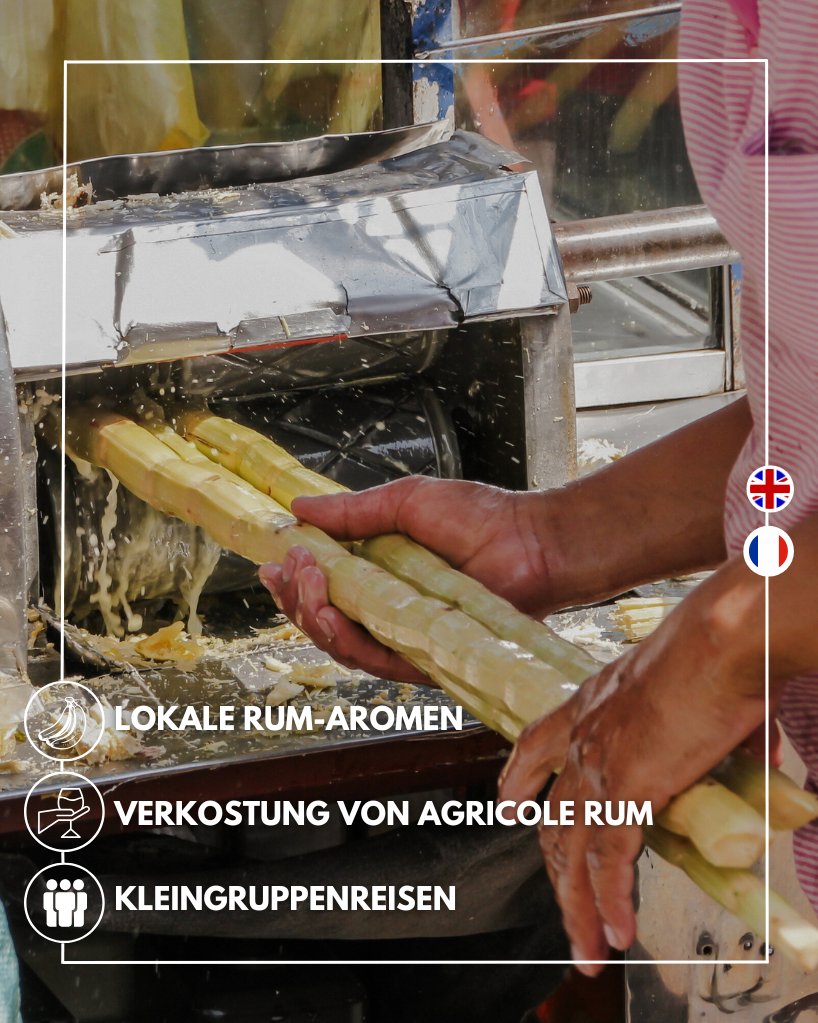 Private Rum-Tour auf Guadeloupe