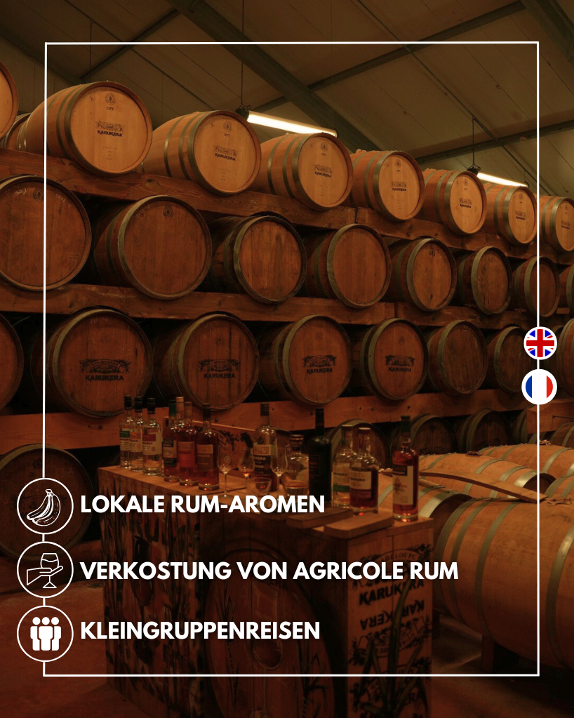 Guadeloupe Rum-Destillerie-Tour